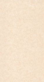 101491460 Винил на флизе (1*12) 0,53х10,05 (Beton2)