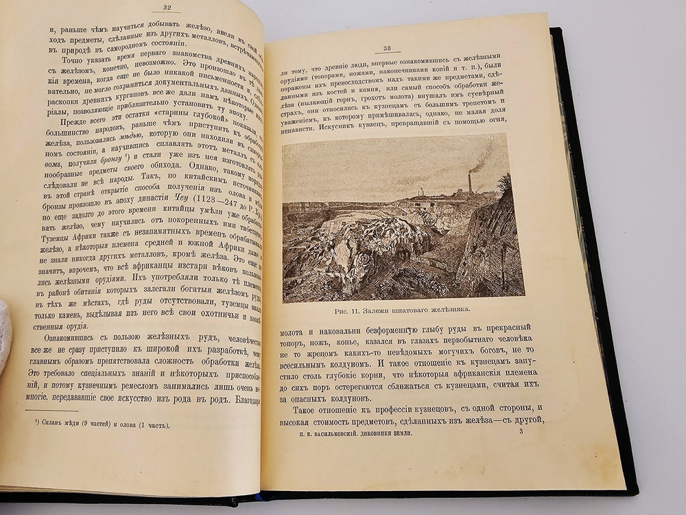 "Диковинки Земли". П.Е.Васильковский. 1913г.