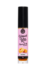 Бальзам для губ Lip Gloss Vibrant Kiss со вкусом пончиков - 6 гр.
