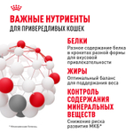 Сухой корм Royal Canin Savour Exigent для привередливых взрослых кошек от 1 года 10кг