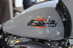 Harley-Davidson Road Glide 117 Atlas Silver 2024 с НДС