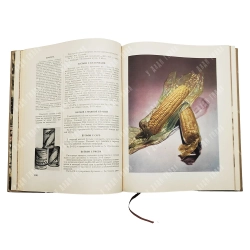 Книга о вкусной и здоровой пище. Москва: Пищепромиздат, 1953 г.