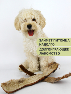 Говяжья кожа (шкура) — лакомство для собак, 1 шт