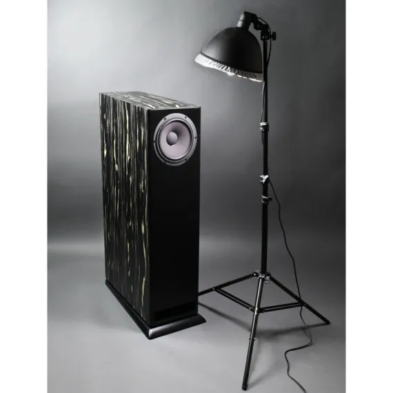 Davis Acoustics MV One Master Ebony