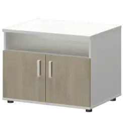Тумба для оргтехники СМТ-2ДН Тип1  800x600x625 Смарт