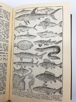 Dictionnaire francais illustre: Lettres ornees de Claudel: Parties grammaticale, historique, geographique (Иллюстрированный французский словарь: витиеватые письма Клоделя: грамматическая, историческая, географическая части), A.Rozoy, Mayer Roger