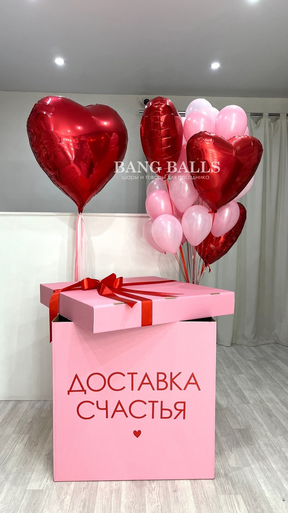 Шары для девушек №279
