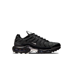 Nike Air Max Plus WMNS "Black Silver"