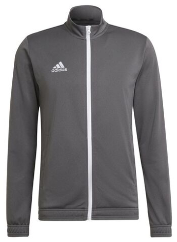Мужская теннисная кофта Adidas Entrada 22 Track Jacket - серый