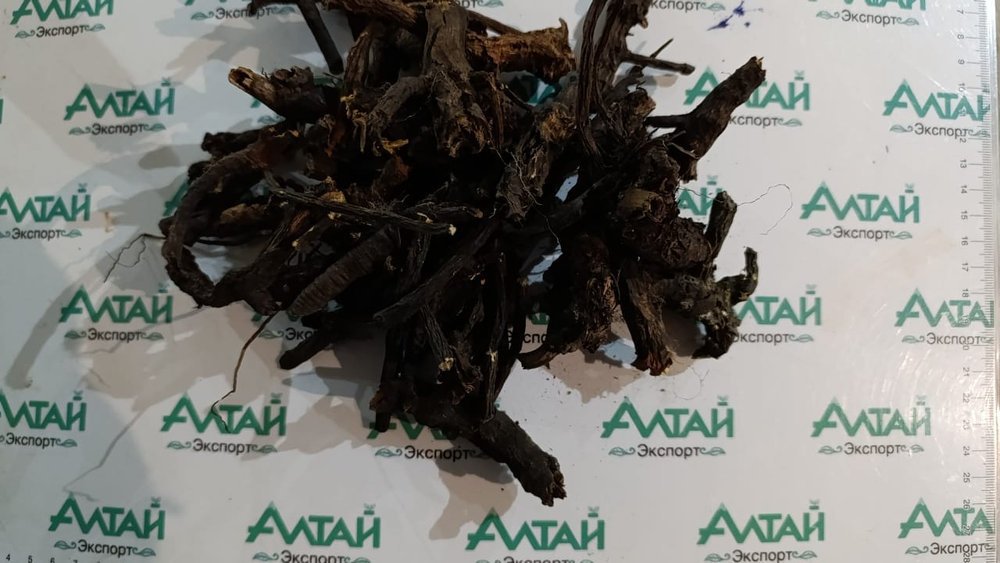 Кровохлебка корень Алтай