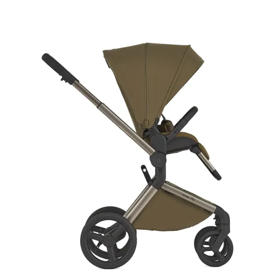 Коляска ANEX Flo 2 в 1 Astra