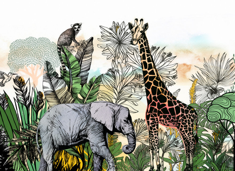 ZOO 8