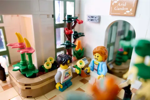 Конструктор LEGO Ideas 21353 Ботанический сад