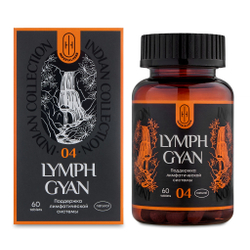 LYMPH GYAN Аюрведический комплекс ЛИМФ ГЯН Лимфодренаж 60шт
