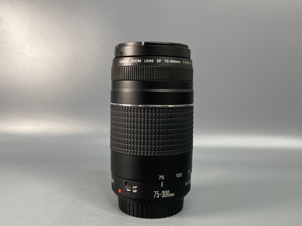 Canon EF 75-300mm f/4-5.6 III