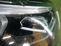 DSCN6589.jpg