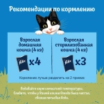 Курица в соусе природа вкуса жидкий корм для взрослых кошек Felix 85г