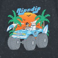  Футболка мужская Ripndip Nerm Cruiser артикул:RND9359 - купить в магазине Дайс