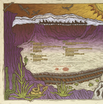 Grateful Dead / Houston, Texas 11-18-1972 (2LP)