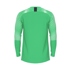 Свитер вратарский Evolution GK Jersey L/S — Light green spark