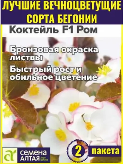 Семена бегонии вечноцветущей Коктейль F1 Ром