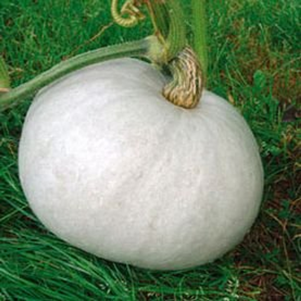 грг