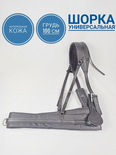 Шорка кожаная для лошади под евро-упряжь 100, черный