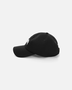 Кепка Anteater 6Panel Черный