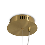 Подвесной светодиодный светильник Freya GRAIL FR6183PL-L4BS1