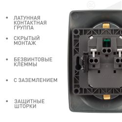 Розетка ЭРА Серия 12 12-2108-12 2X2P+E Schuko со шторками 16A-250В IP20 графит | Эра 12
