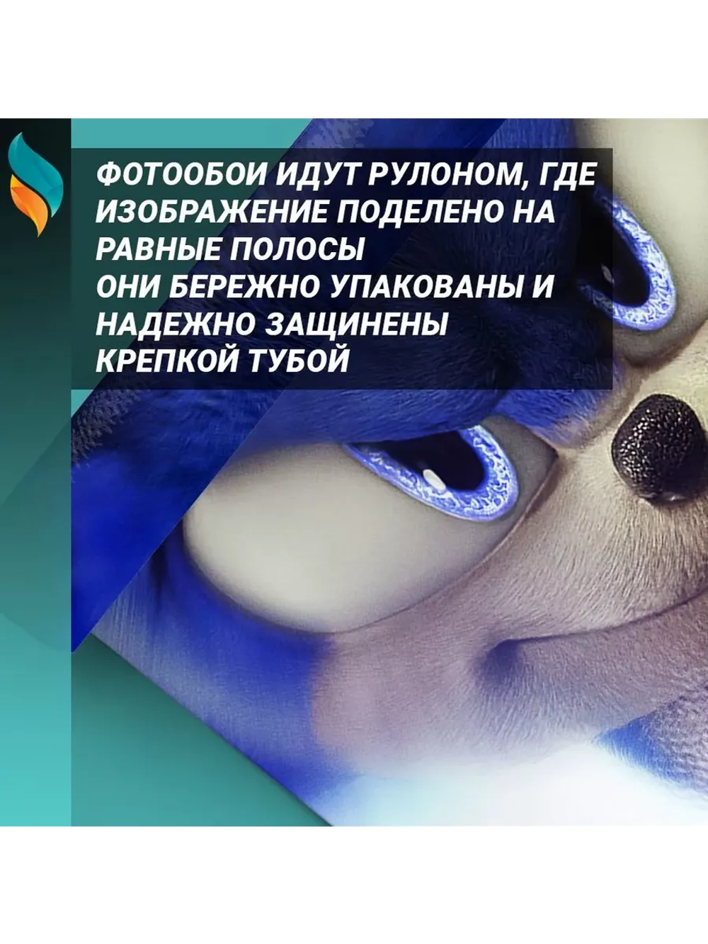Детские фотообои на стену Соник бежит по воде 300х270см