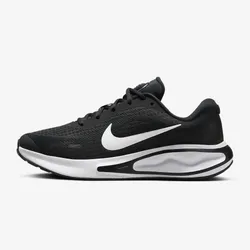 Кроссовки женские NIKE W NIKE JOURNEY RUN