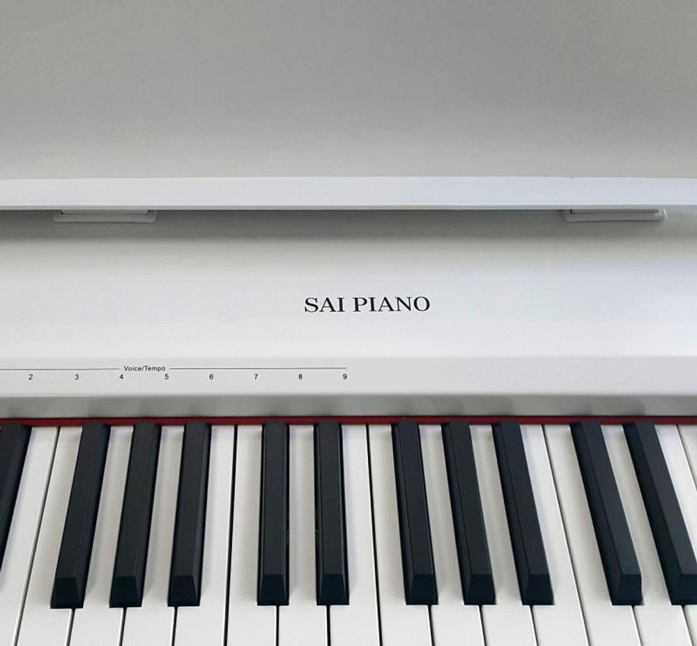 Sai Piano P-9BT