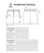Шорты CAMP 2 Woven Shorts, темно-серый