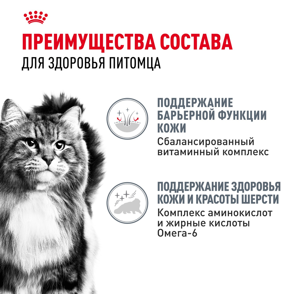 Royal Canin Hair&Skin Care Хэйр Энд Скин Корм влажный для взрослых кошек поддержание здоровья кожи и шерсти желе 85г