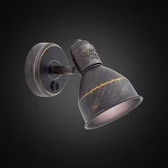 Спот Опус CL502512 Citilux