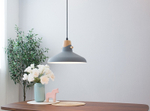 Подвесной светильник Home Light Астерия MMD-LED A039-2-1xE27 серый
