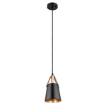 Подвесной светильник Arte Lamp THOMAS A7032SP-1BK, 1хE27