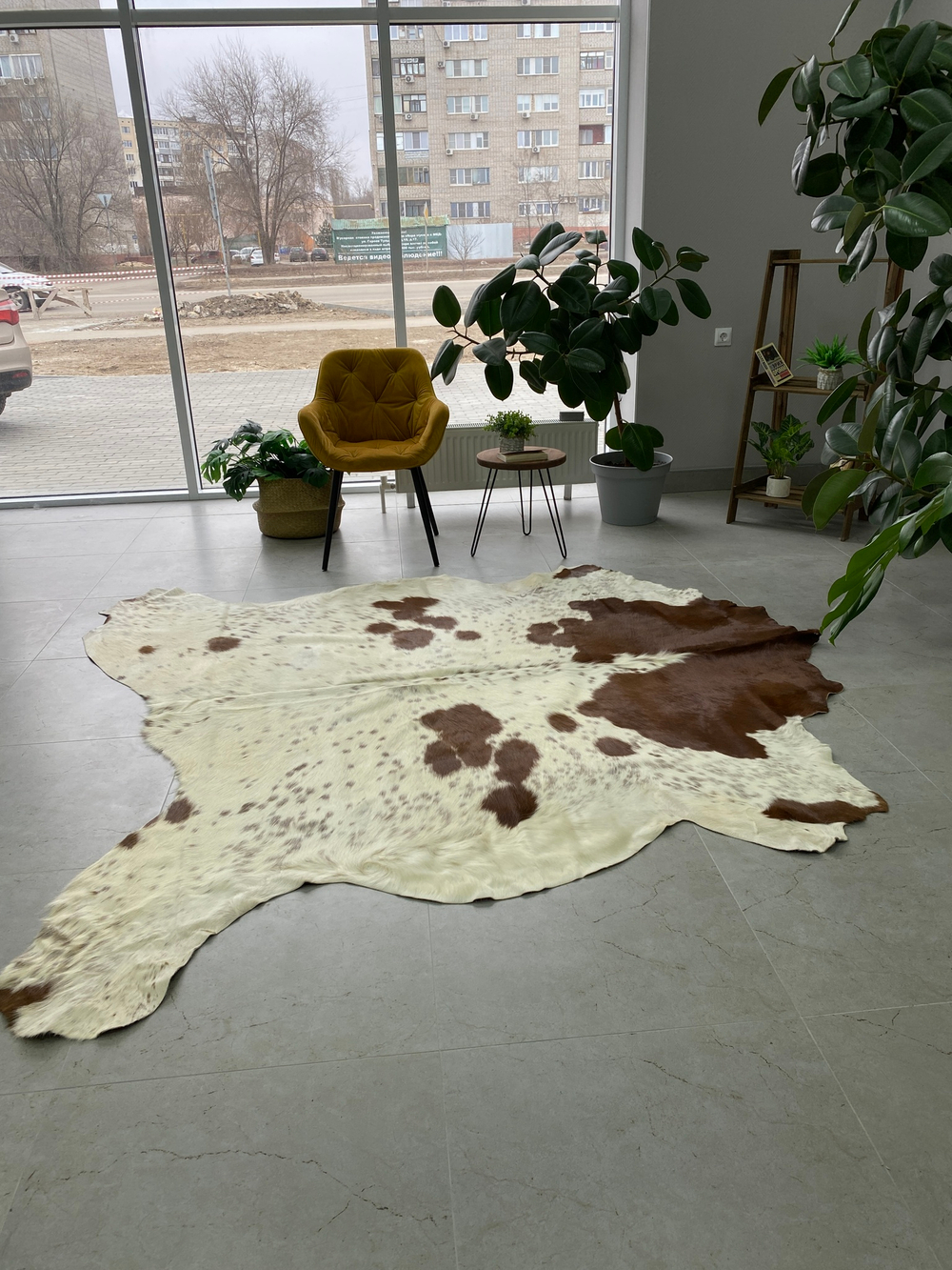 Коровья шкура на пол натуральная с ворсом