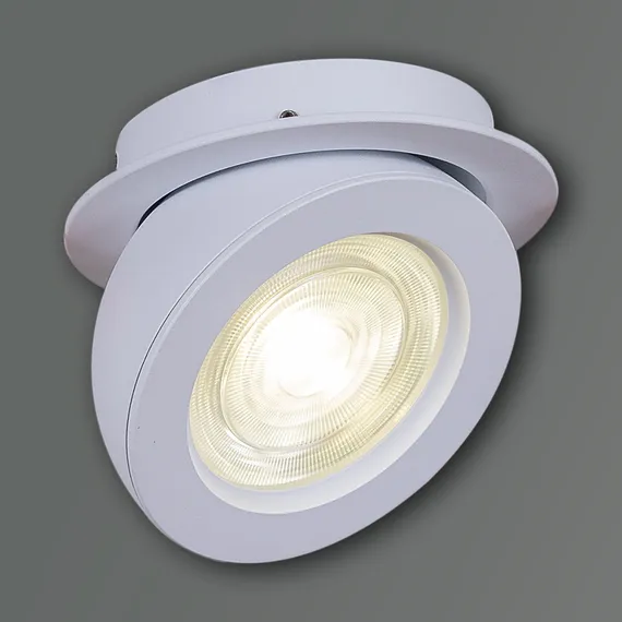 Спот 84053-9.0-001QR COB10W WT Reluce