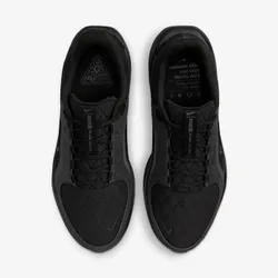 Кроссовки женские NIKE W AIR WINFLO 11 GTX