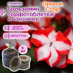 Семена Бархатцы низкорослые желтые махровые Марвел + торфяные таблетки Jiffy в подарок, 5шт
