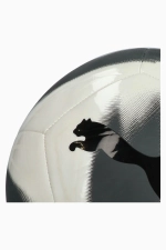 Футбольный мяч Puma Cage размер 5 - белый