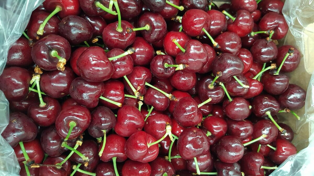 черешня чилийская сорт Bing, lapins ,Van.