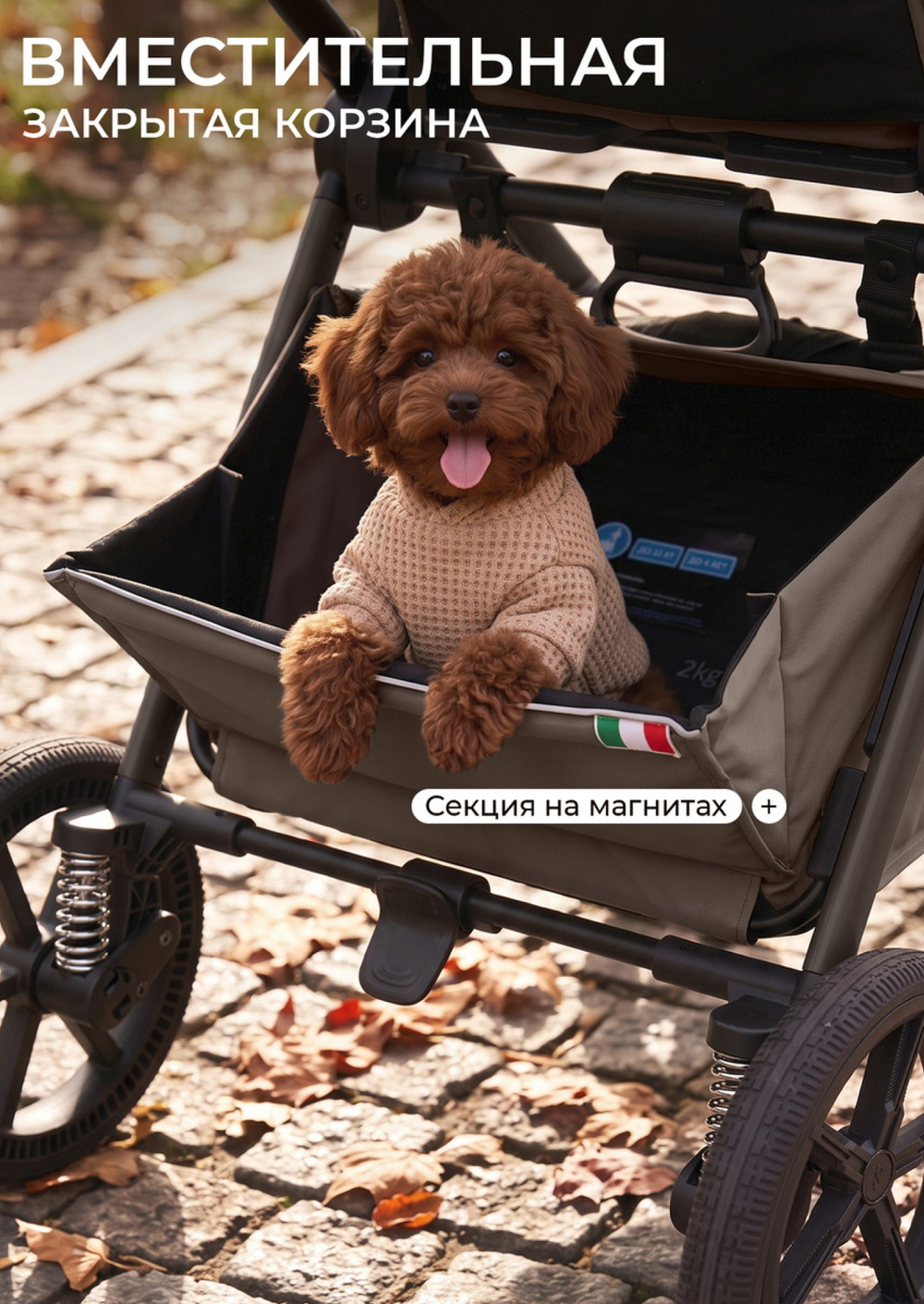 Sweet Baby Коляска 2 в 1 SBL Alba 2.0 Dark Beige
