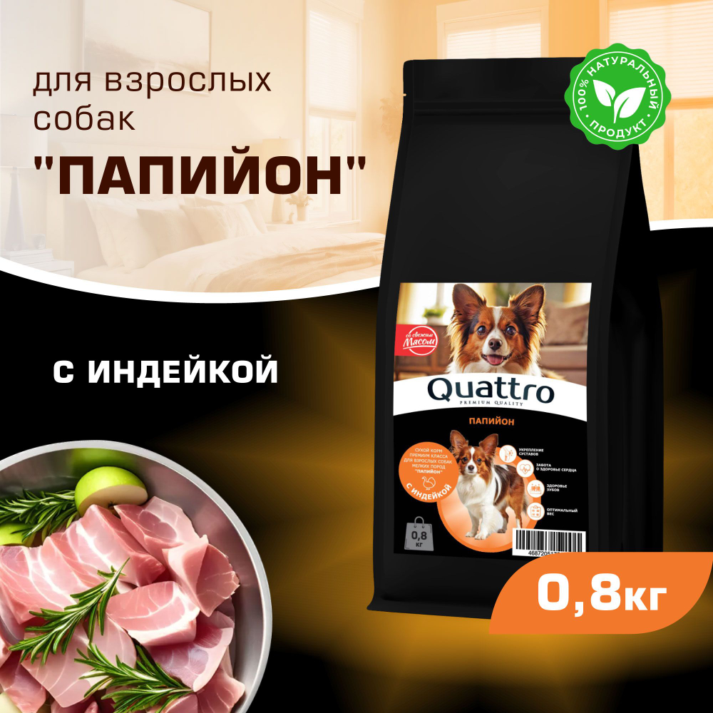 Корм сухой для взрослых собак породы Папийон, с индейкой, 800 гр, QUATTRO