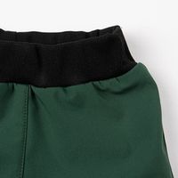 Брюки Softshell демисезонные "Ель"