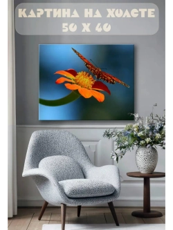 Картина на стену 40 X 50 Бабочка