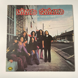 Винтажная виниловая пластинка LP Lynyrd Skynyrd Free Bird (Англия 1974)