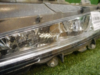 DSCN3911.jpg